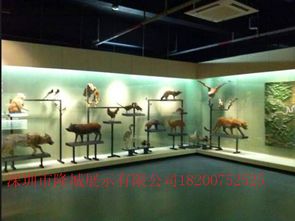 廣州供銷博物館展示柜與會(huì)務(wù)服務(wù)融合創(chuàng)新探索